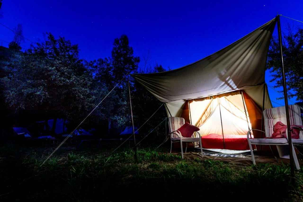 Giant Canvas Rental Tent Agro-Turismo Quinta Da Fonte Figueiro Dos Vinhos Exterior photo
